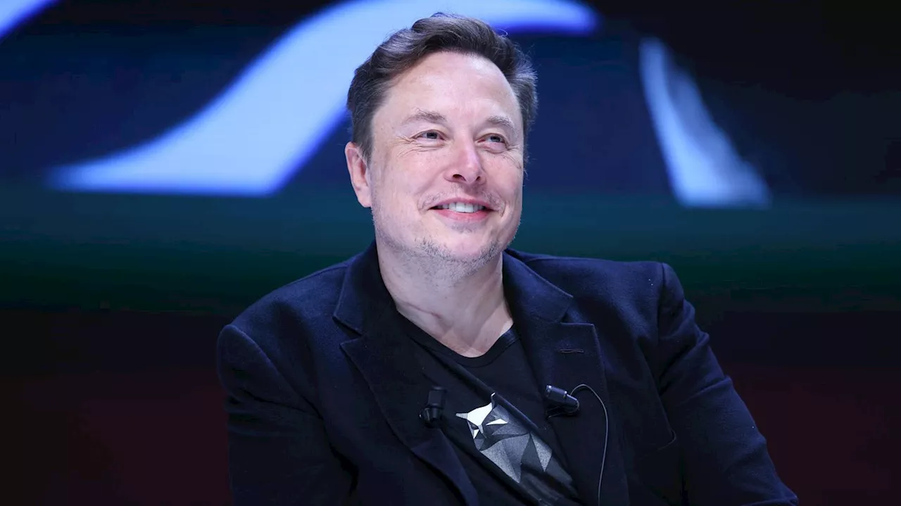 Spendete Elon Musk britischen Rechtspopulisten Millionensumme?