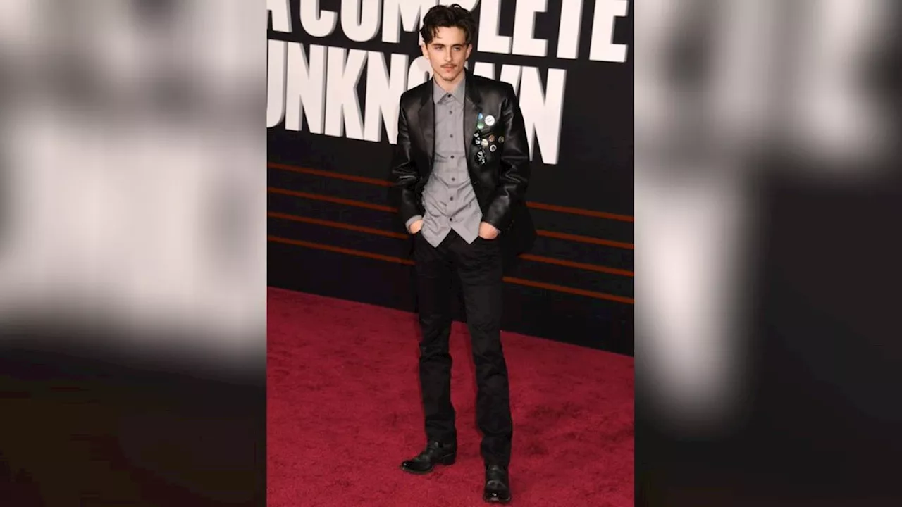 Timothée Chalamet: Als lässiger Rockstar auf dem roten Teppich