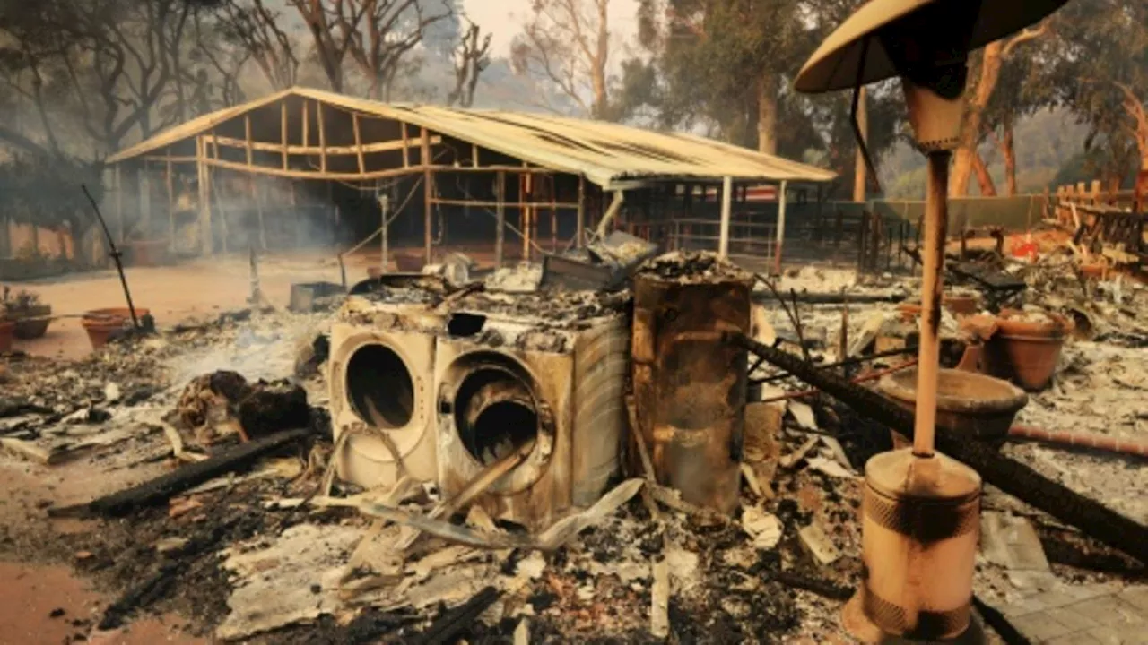 Waldbrand wütet in kalifornischer Küstenstadt Malibu - 1500 Feuerwehrleute im Einsatz