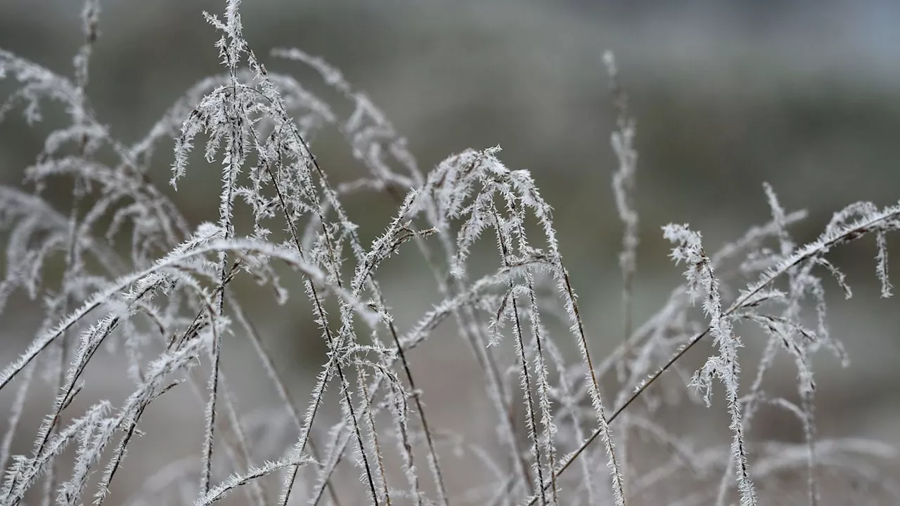 Wetter: Nebel und Glatteis in Sachsen-Anhalt