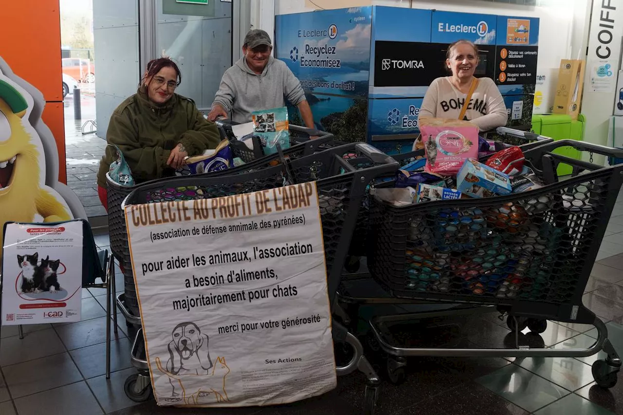 Mourenx : 700 kilos de croquettes et pâtée collectés pour les chats libres