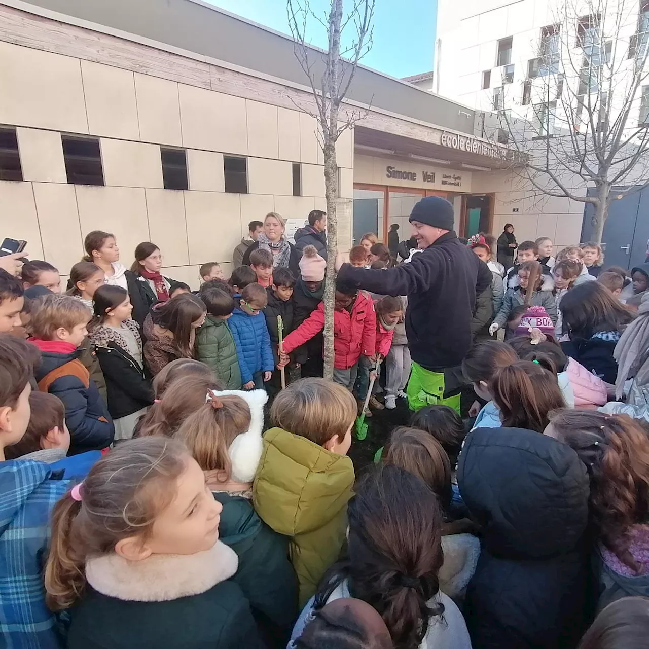 Vidéo. Périgueux plante son cinquième arbre de la laïcité devant l’école Simone-Veil