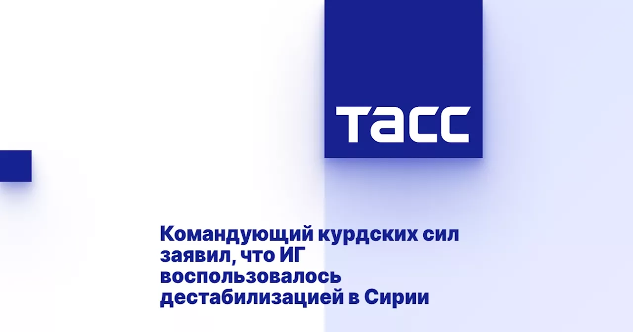 Командующий курдских сил заявил, что ИГ воспользовалось дестабилизацией в Сирии