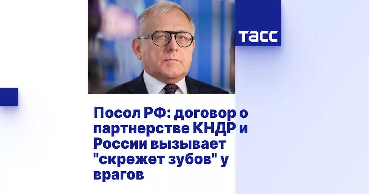 Посол РФ: договор о партнерстве КНДР и России вызывает 'скрежет зубов' у врагов