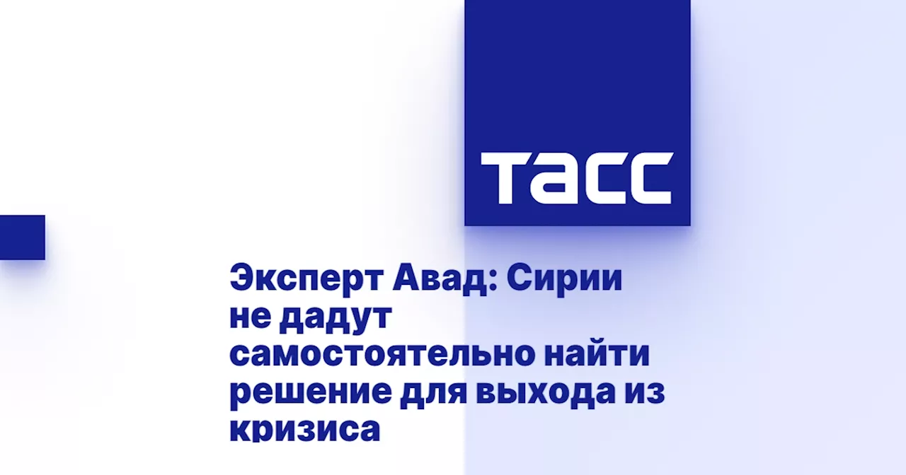 Эксперт Авад: Сирии не дадут самостоятельно найти решение для выхода из кризиса