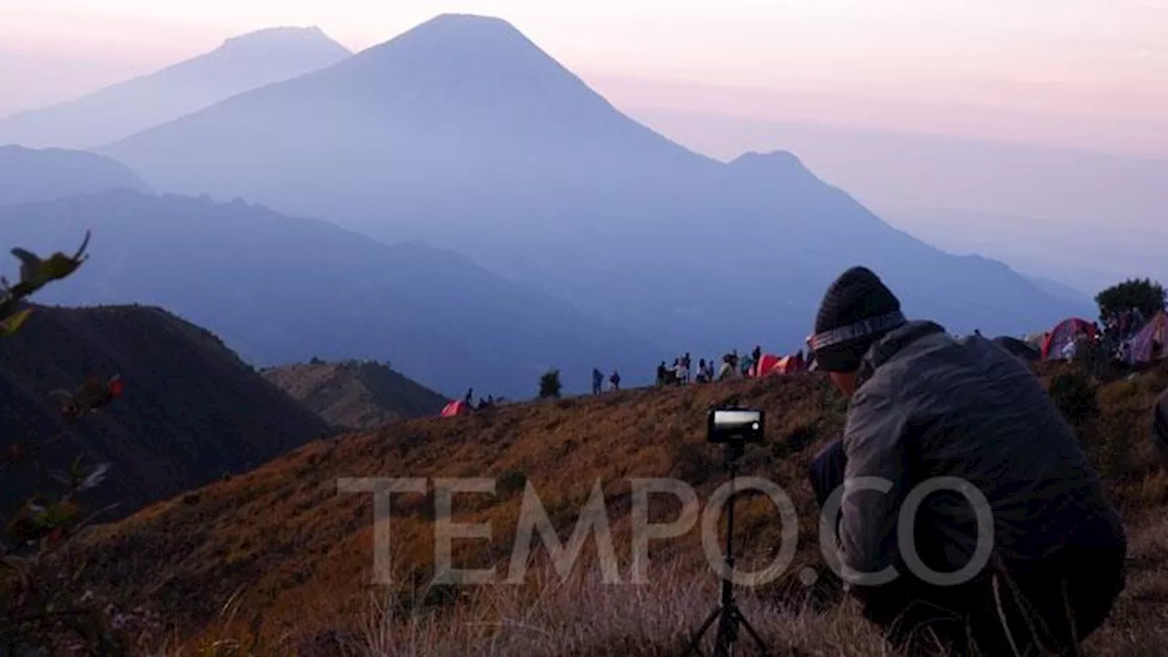 Gunung Prau: Sejarah, Pesona Alam, dan Jalur Pendakiannya