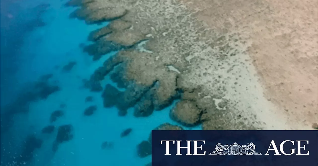 Rare glimpse at stunning reef beside Woodside’s gas-drilling ambitions