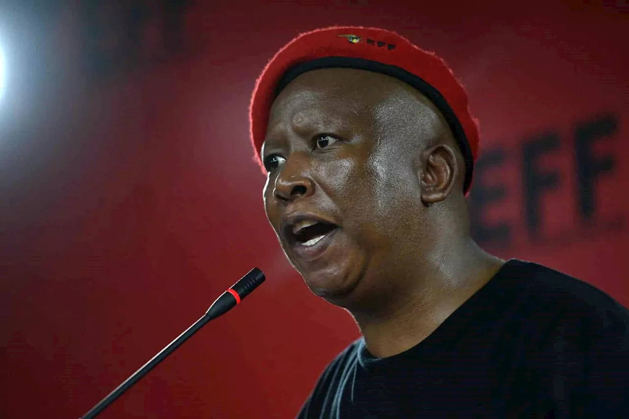 EFF faces the numbers at national assembly: Stagnation threatens revolution