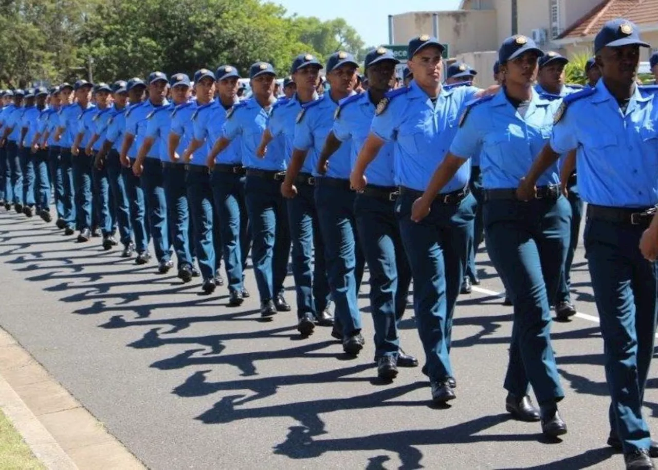 Western Cape to deploy 133 new traffic officers amid busy festive season