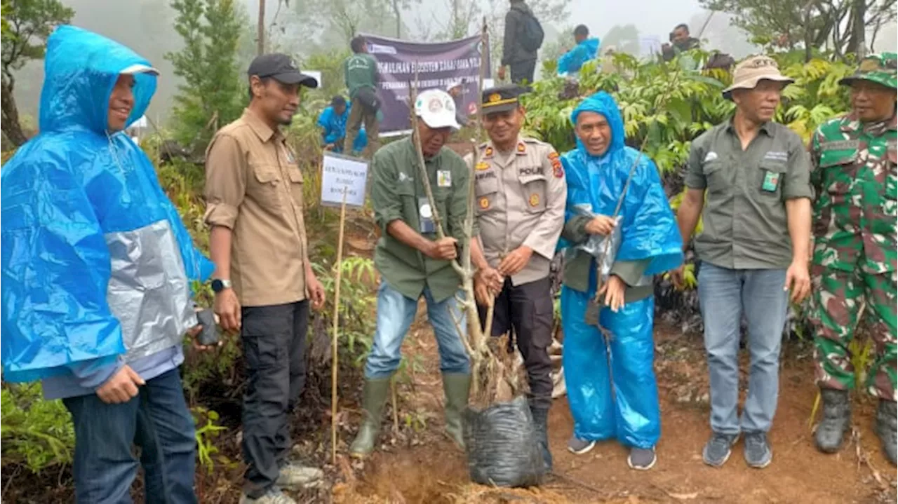 Secangkir Kopi Merawat Hutan dan Mata Air di Manggarai Timur