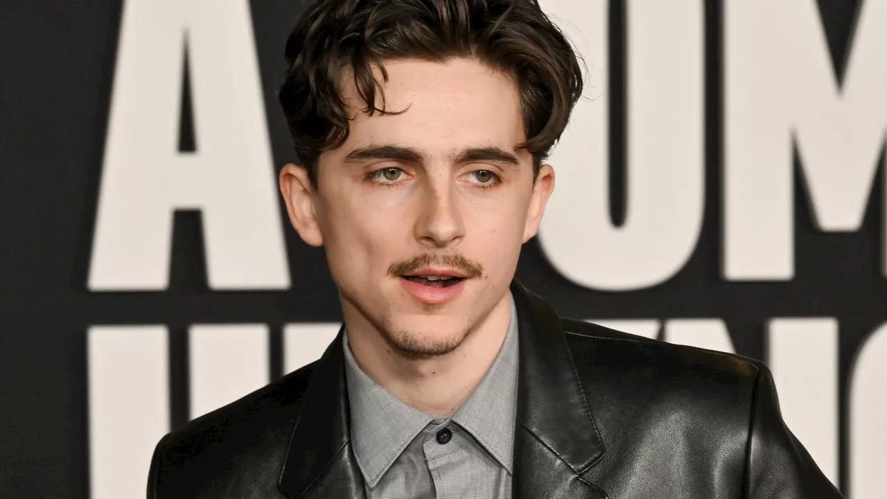 Timothée Chalamet vient-il de relancer la tendance des pin's ?