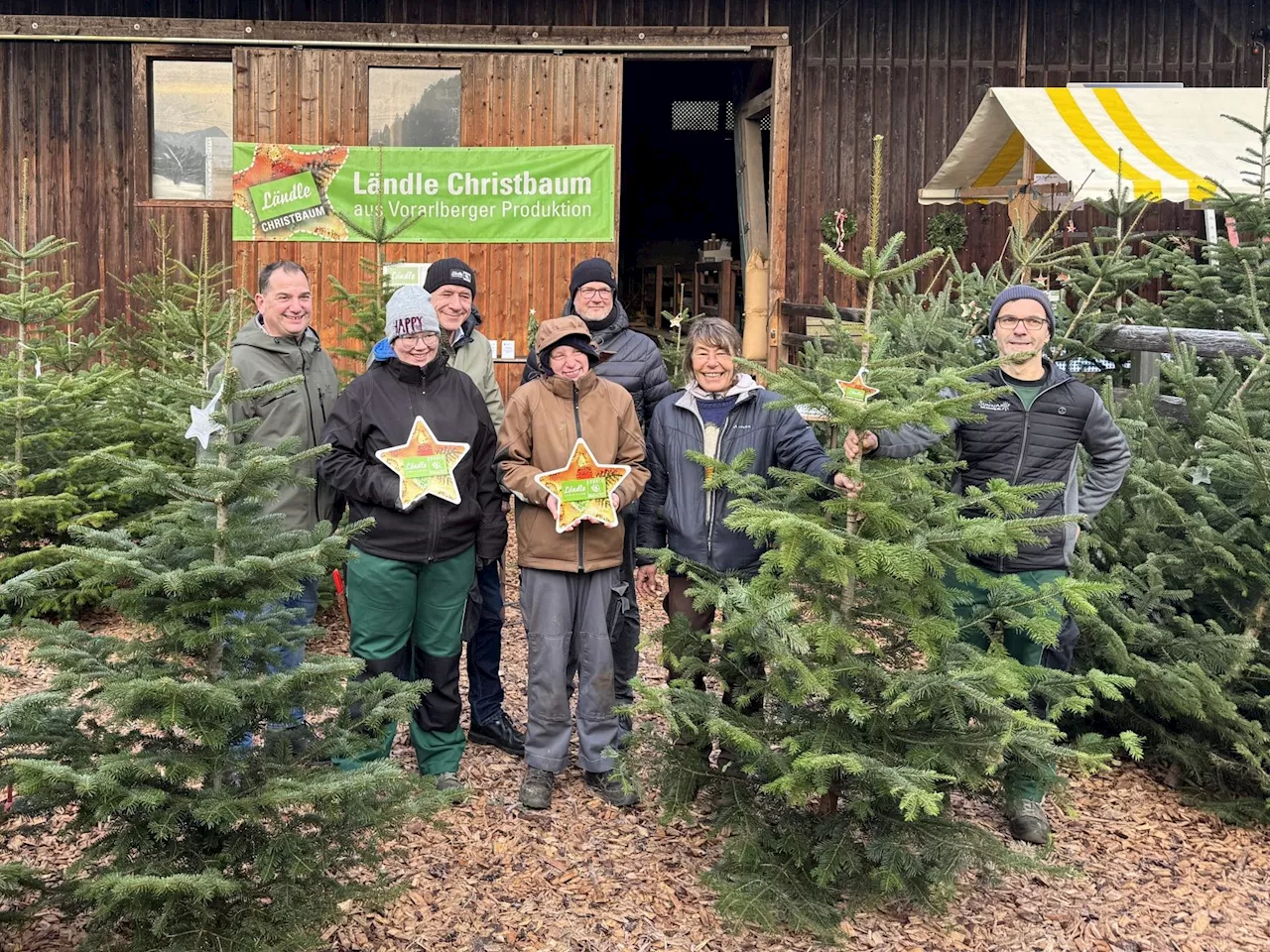 Sunnahof-Christbaumverkauf gestartet: Festliche Tradition trifft auf gelebte Inklusion