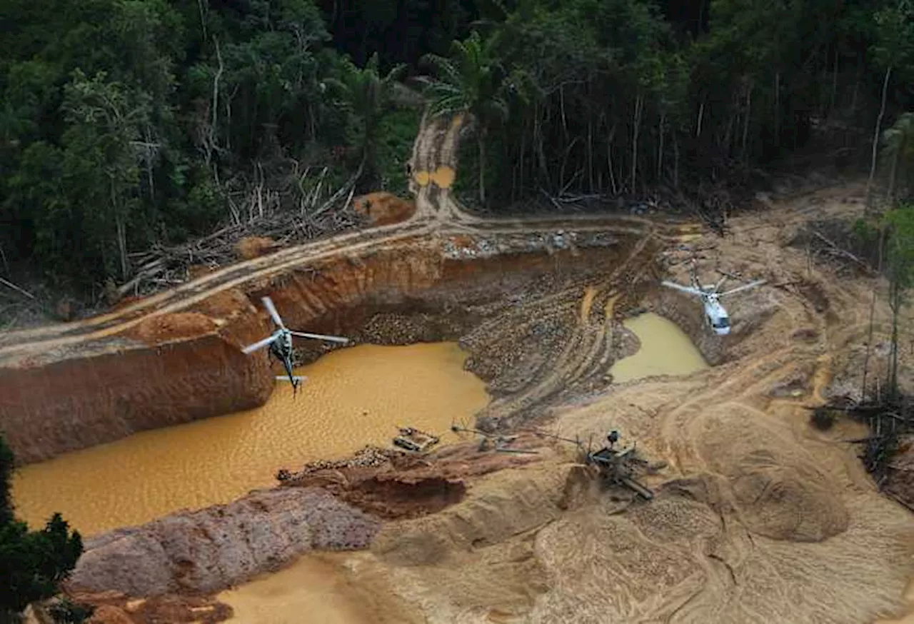 Organized crime gangs expanded into a third of cities in Brazil’s Amazon, report finds