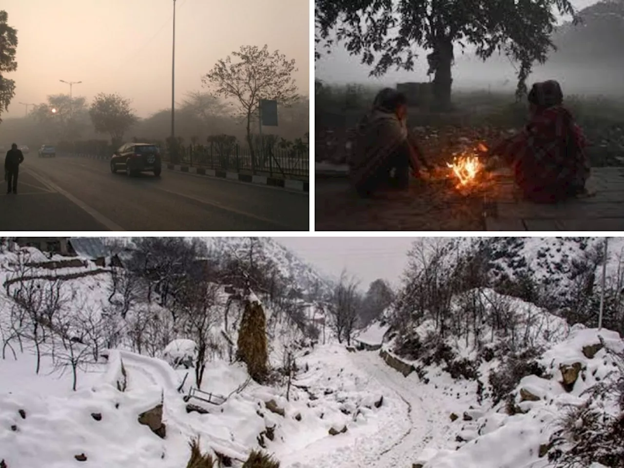 पाकिस्तानातील शीतलहरींचा महाराष्ट्रावर परिणाम; शिमला- धुळ्यातील तापमान जवळपास एकसारखं...