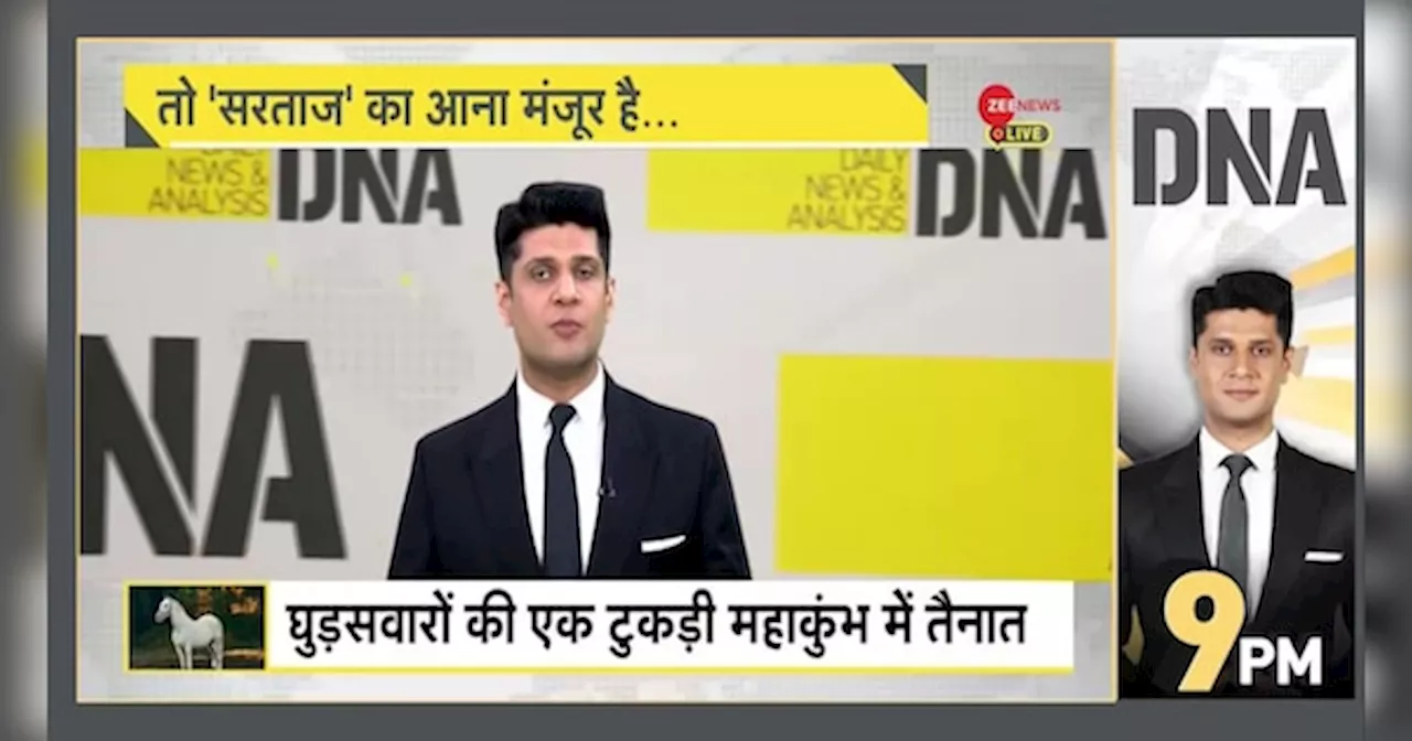 DNA: महाकुंभ से पहले क्यों चर्चा में सरताज घोड़ा?