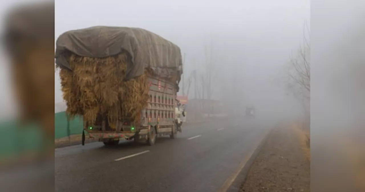 Rajasthan Weather Update: पहाड़ी इलाकों में हो रही बर्फबारी का राजस्थान में दिखने लगा है असर, हाड़ कंपाने वाली ठंड से हाल हो रहा बेहाल