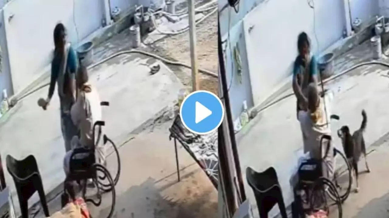 Viral video: ವೀಲ್ ಚೇರ್ ಮೇಲೆ ಕುಳಿತಿದ್ದ ವಯೋವೃದ್ಧ ಮಾವನಿಗೆ ಶೂನಿಂದ ಥಳಿಸಿದ ಸೊಸೆ! ಇಂತವರಿಗೆಲ್ಲ ಏನ್‌ ಮಾಡ್ಬೇಕು ನೀವೇ ಹೇಳಿ...