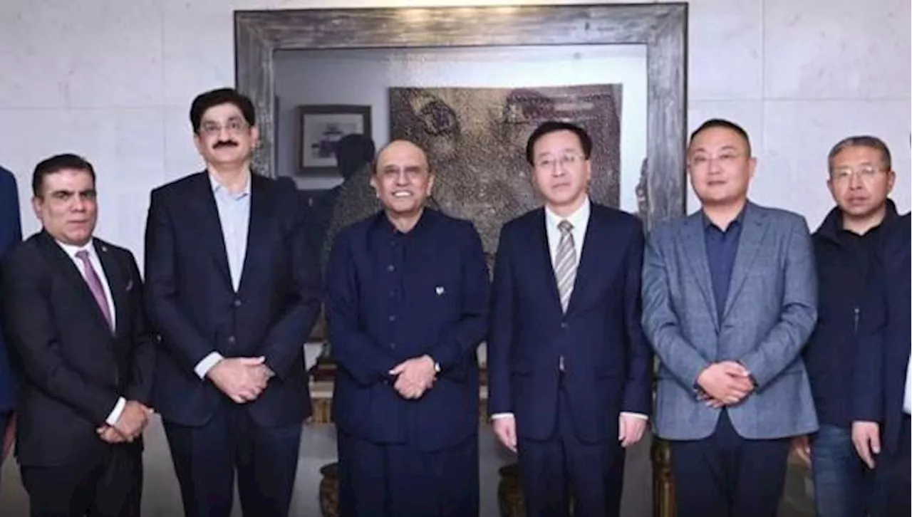 Chinese business delegation calls on Zardari to discuss investment prospects