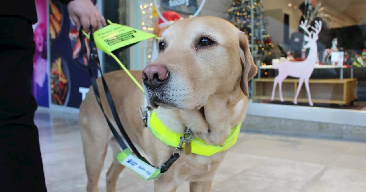 Glasgow man's guide dog refused by taxi as he tried to attend to attend funeral