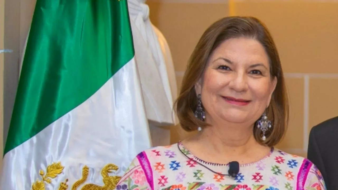 Martha Bárcena: nombramiento de Ronald Johnson envía mensaje a México sobre seguridad y migración