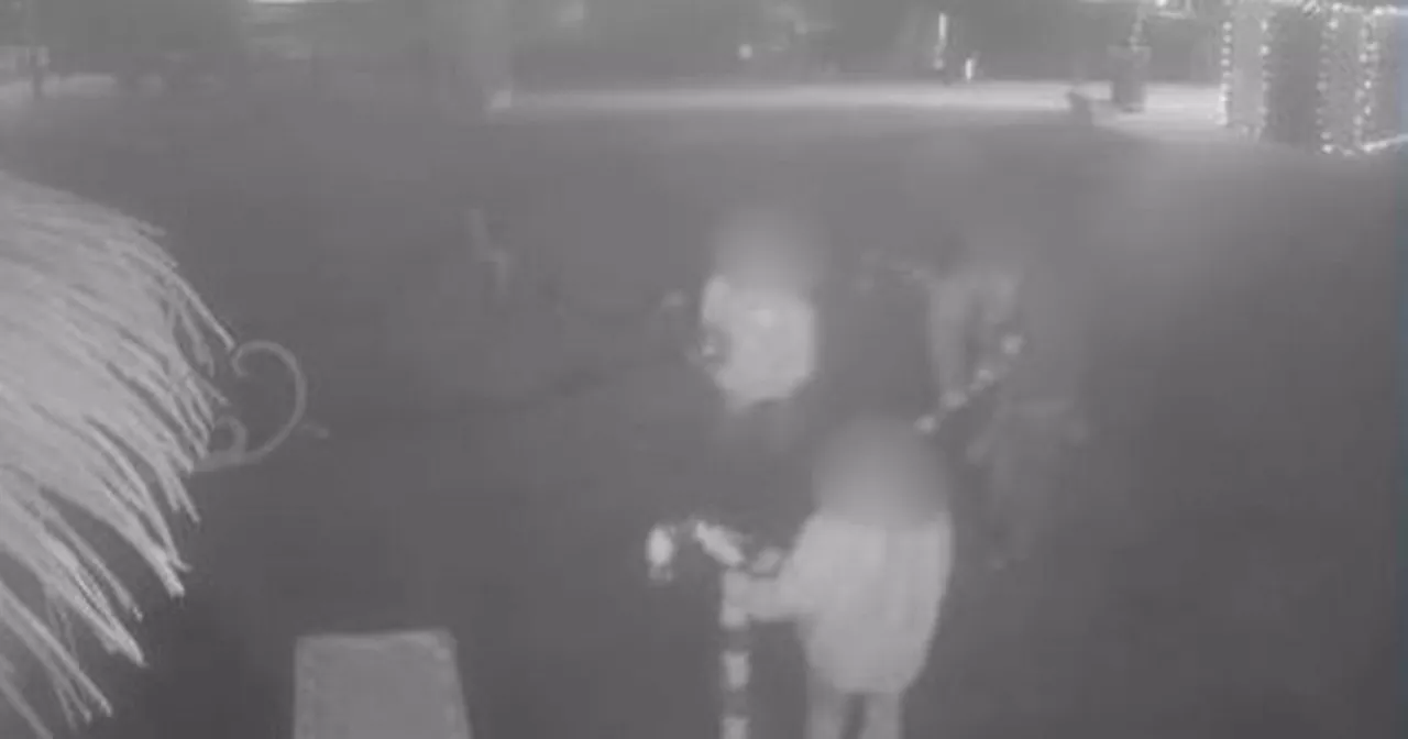'Grinch' family caught on CCTV 'stealing Christmas decorations from restaurant'