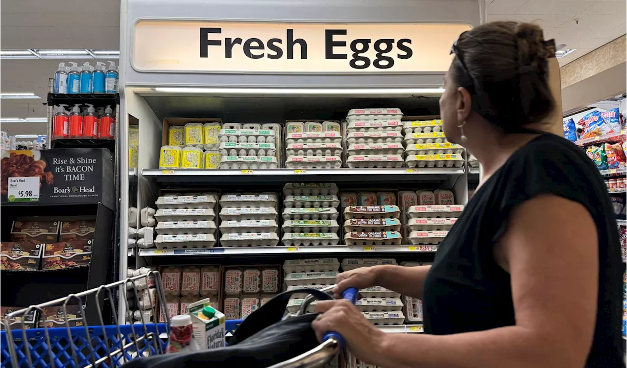 Egg prices may soon ‘flirt with record highs,' supplier says. Here's why