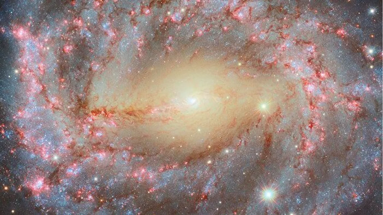 'Grand' spiral galaxy dazzles in new Hubble Telescope photo