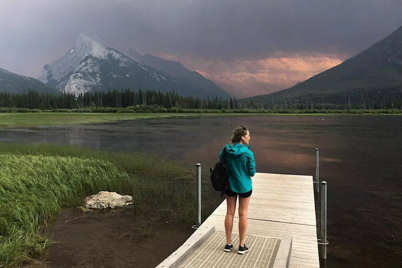 Wildlife concerns lead to new B.C. conservation area near Kootenay National Park