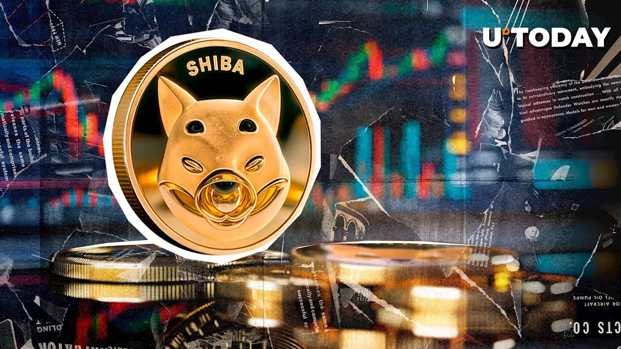 SHIB on Track to Hit $0.000081 Plus 180%, SHIB Team Believes