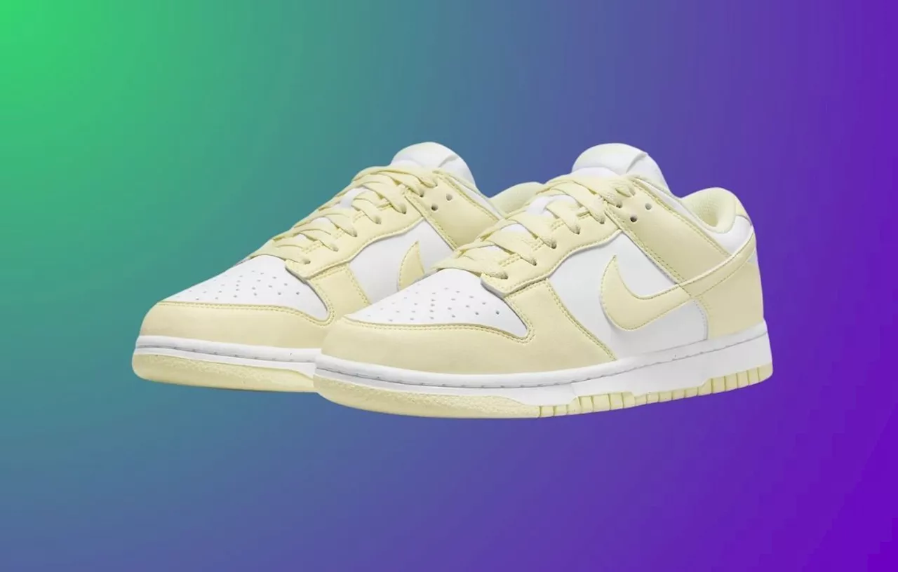 Moins de 85 euros pour ces Nike Dunk Low ultra-tendances