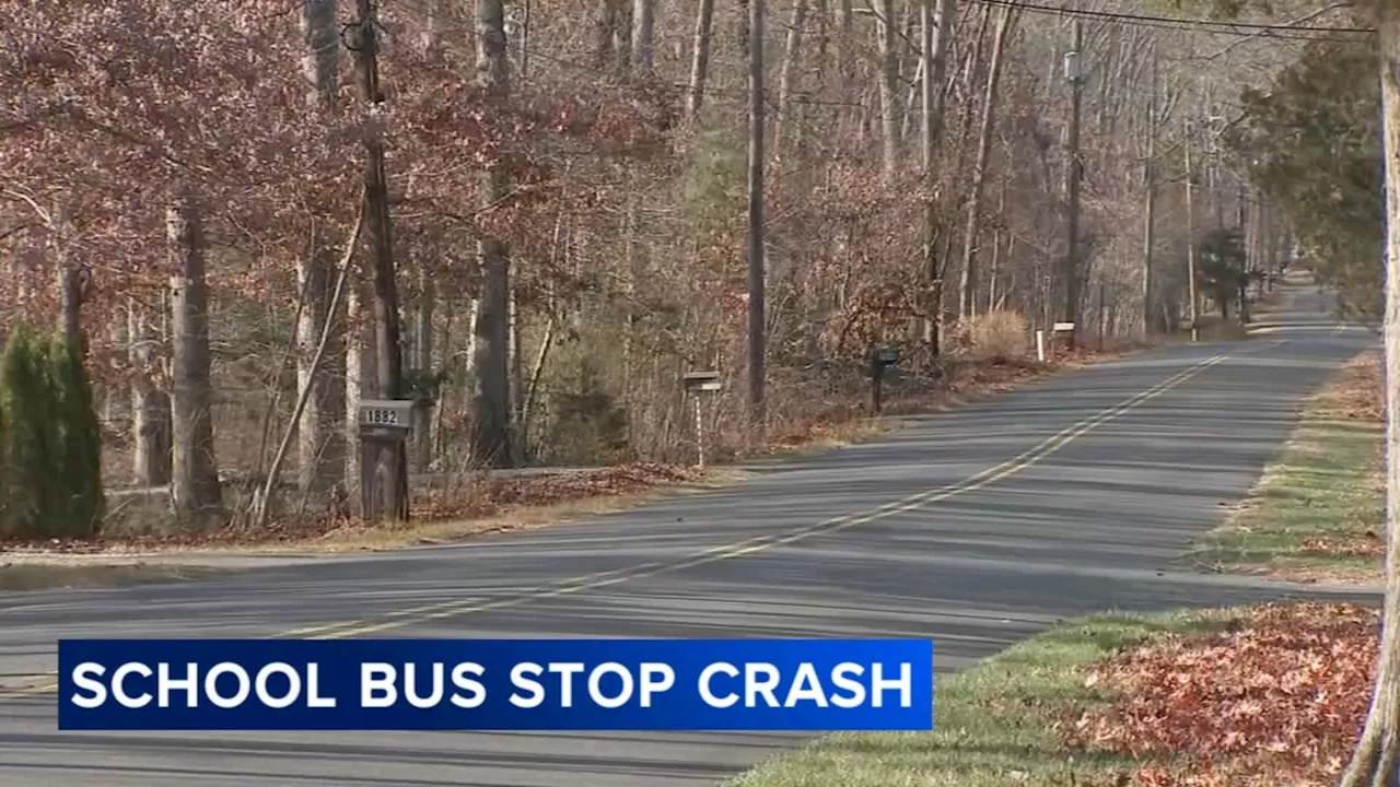 Distracted driver hits child, grandparent crossing in front of school bus: Police