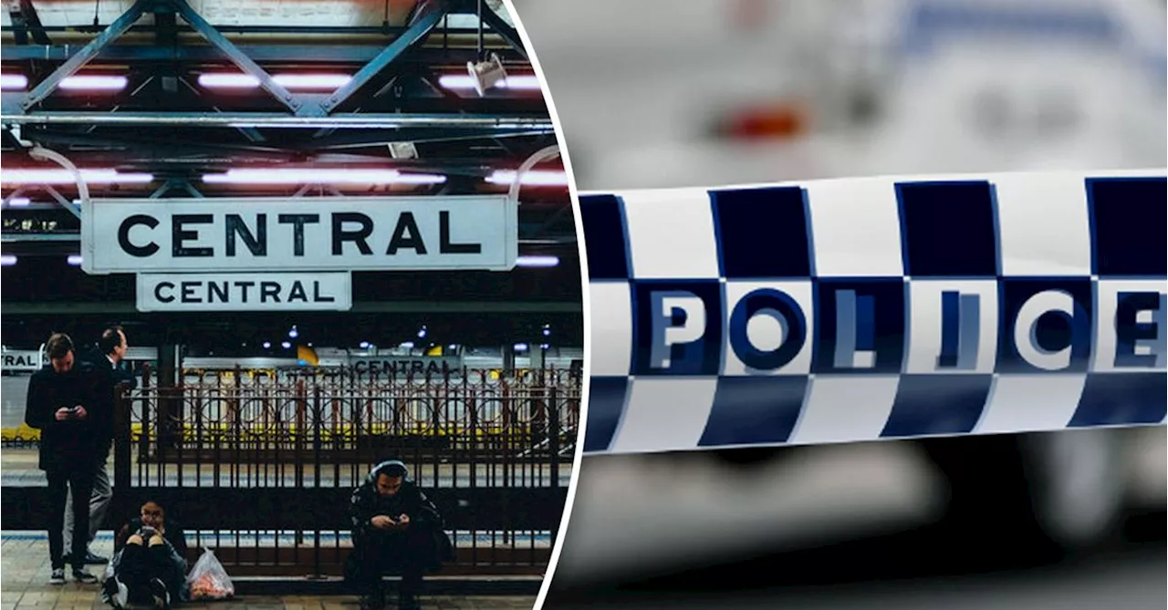 Ten charged after first knife scanning operation at Sydney's busiest train station