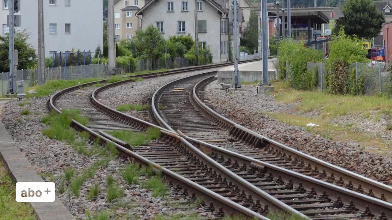 Aargauer Leutnant (24) stirbt im WK – jetzt spricht seine Mutter