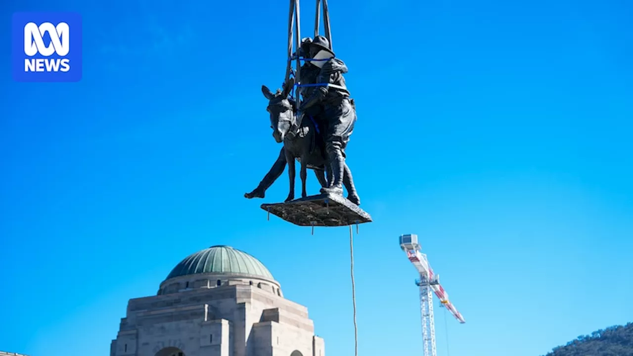 Iconic sculpture of Simpson and his donkey craned back into position at the Australian War Memorial, after three-year hiatus