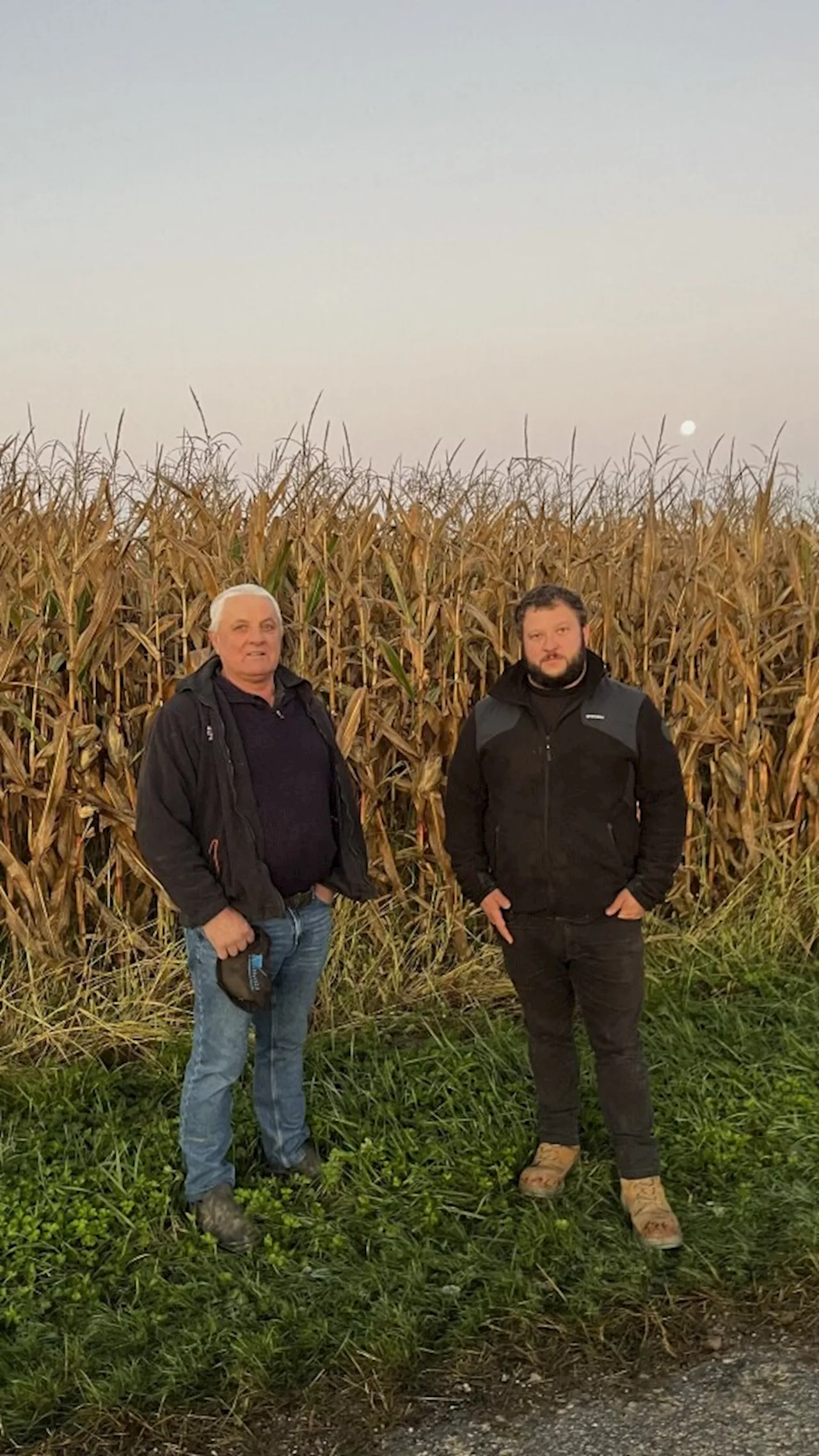 Maladies, mauvaises récoltes : la météo a changé la vie de ces agriculteurs du Lot-et-Garonne