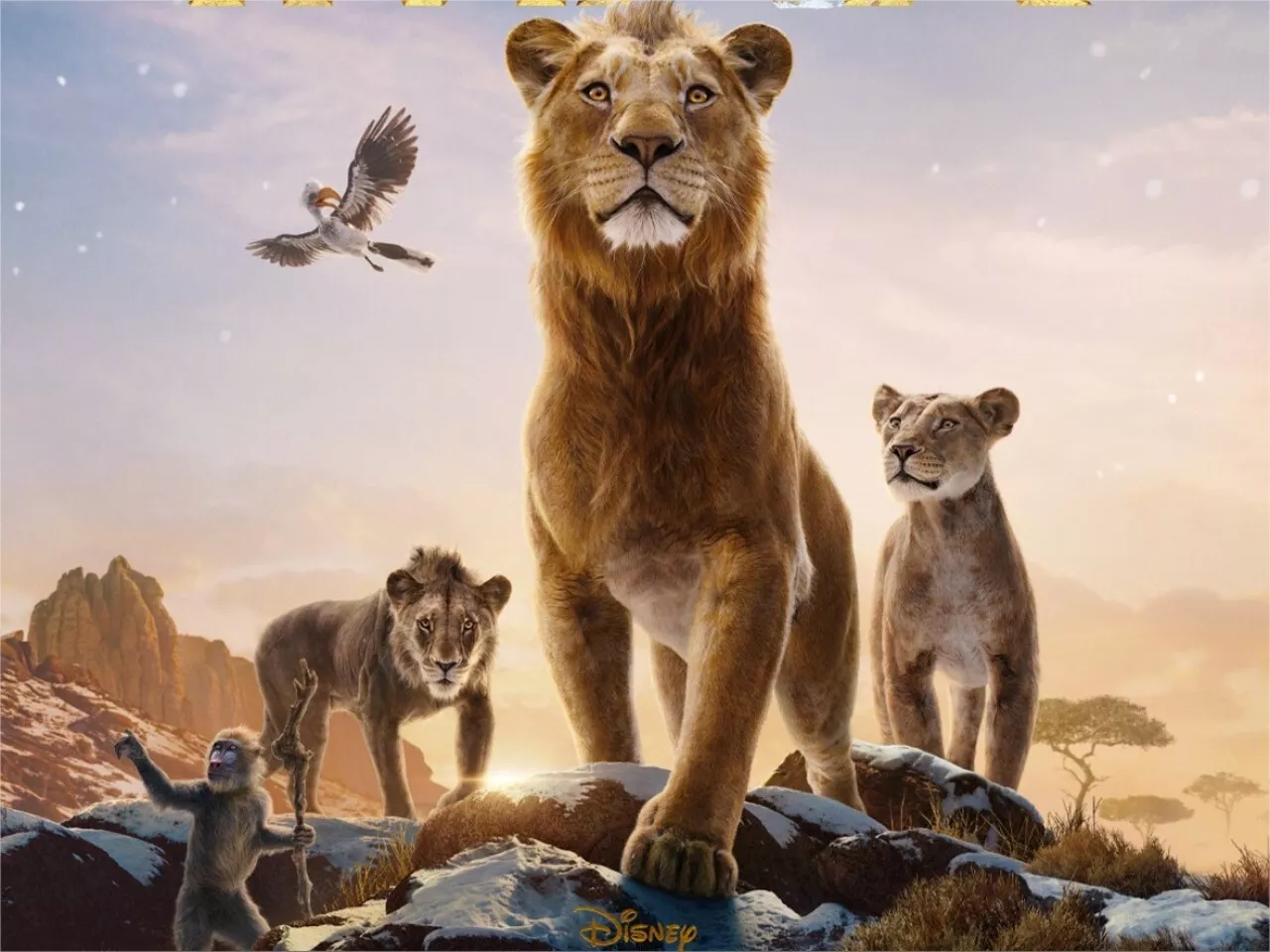 'Mufasa : le Roi lion' : un ciné-débat avec le vétérinaire du Zoo de La Flèche avant la projection du film