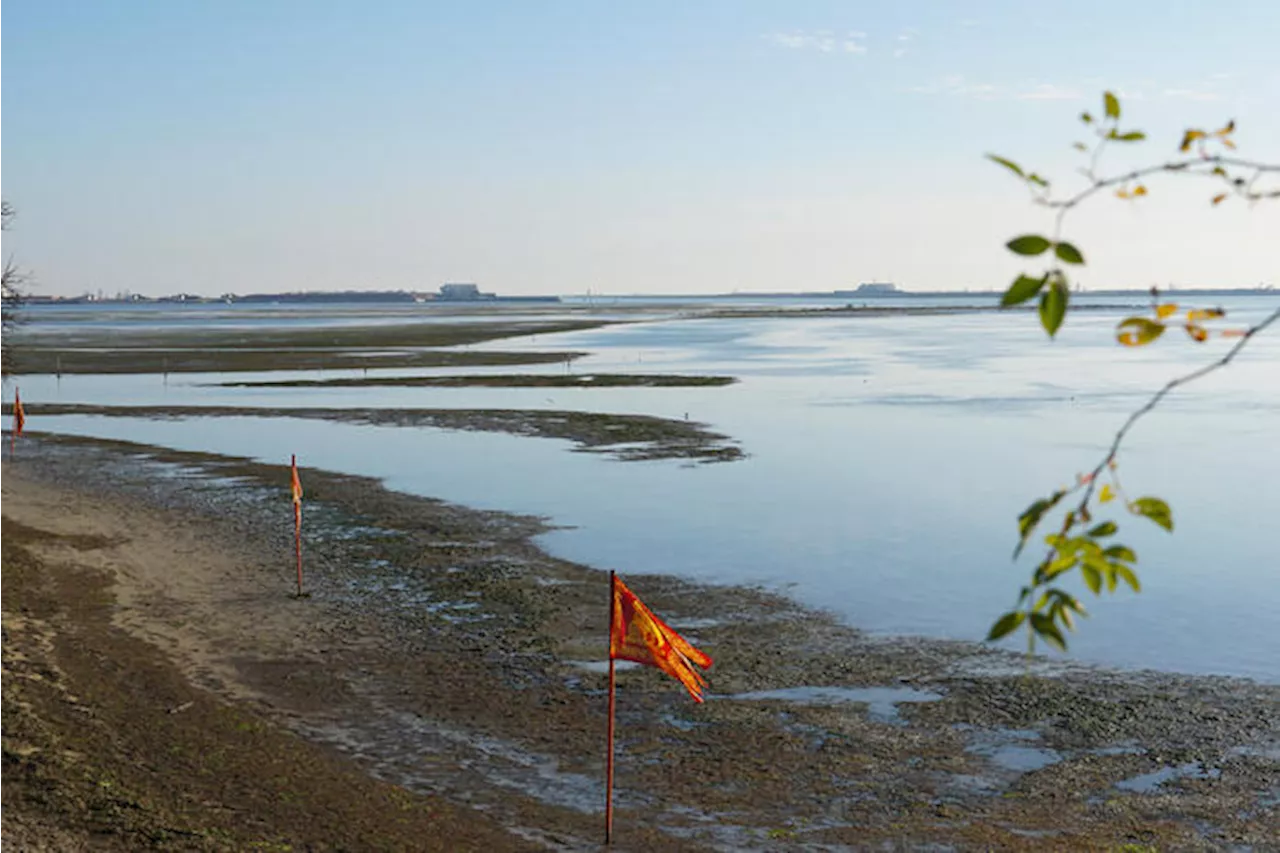 Il 'Bacan', l'isola 'che non c'è' nella laguna di Venezia