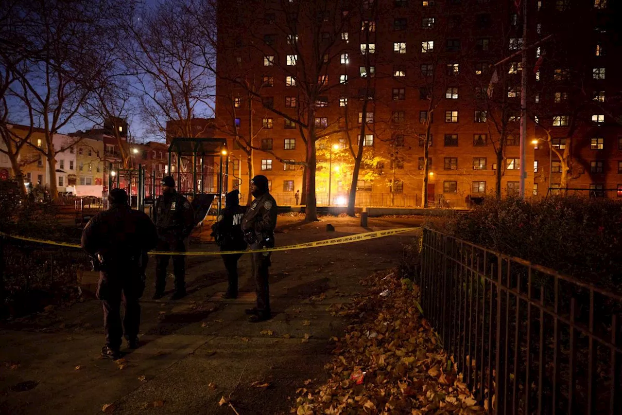 Police investigating shooting that injured two at Brooklyn NYCHA complex