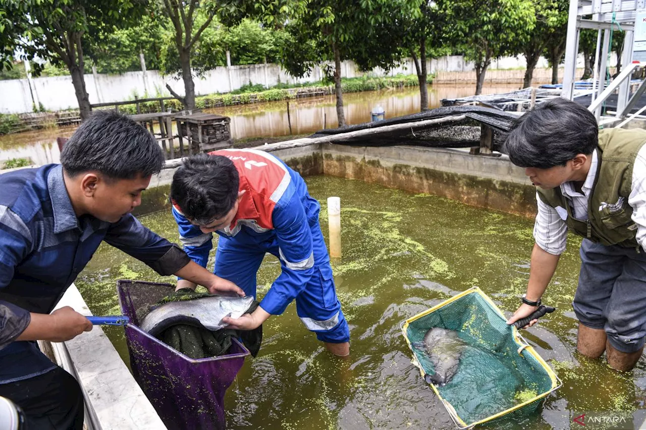 Digitalisasi agromaritim untuk sumber pangan berkelanjutan Indonesia