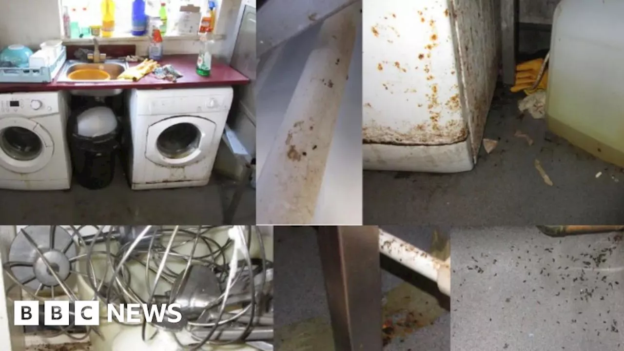 Stourton team rooms owner fined for extensive mouse infestation