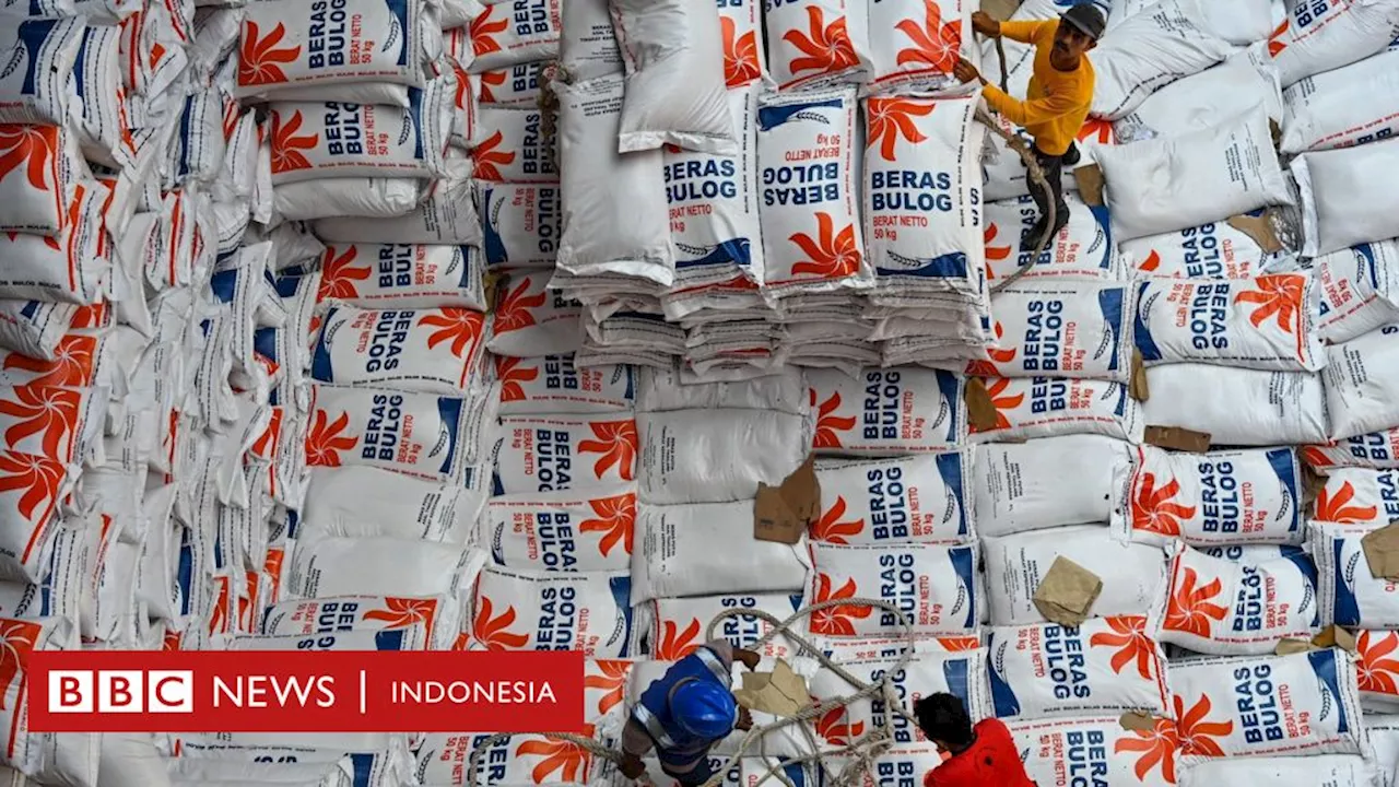 Rencana penghentian impor beras hingga gula dinilai tidak berkelanjutan – 'Saya tidak pernah percaya data kementerian'