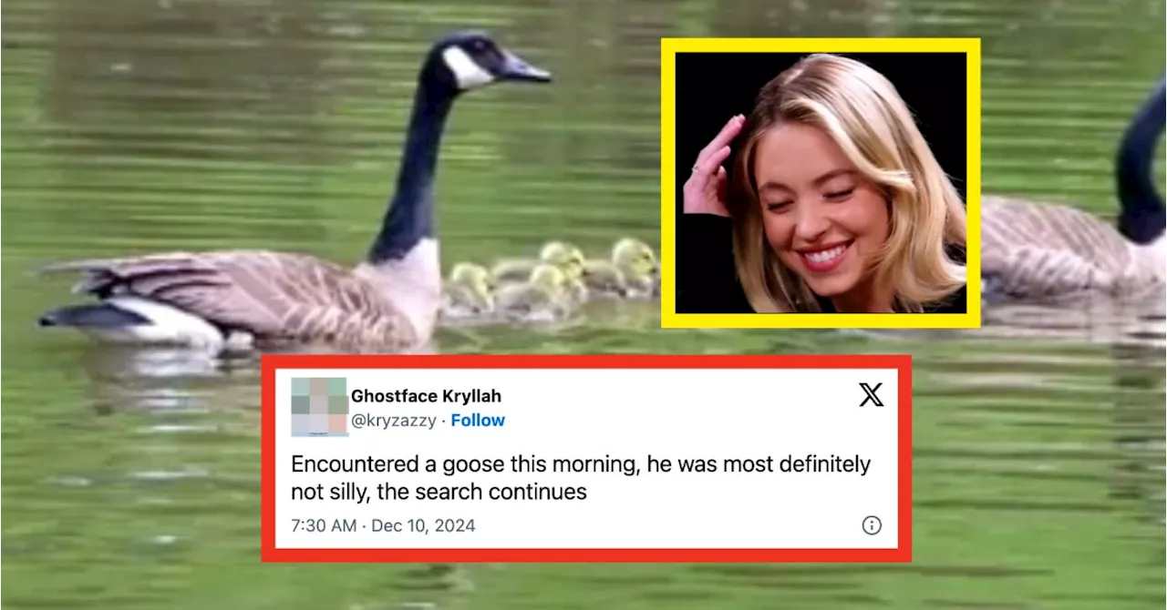 22 Hilarious Canadian Tweets From This Week