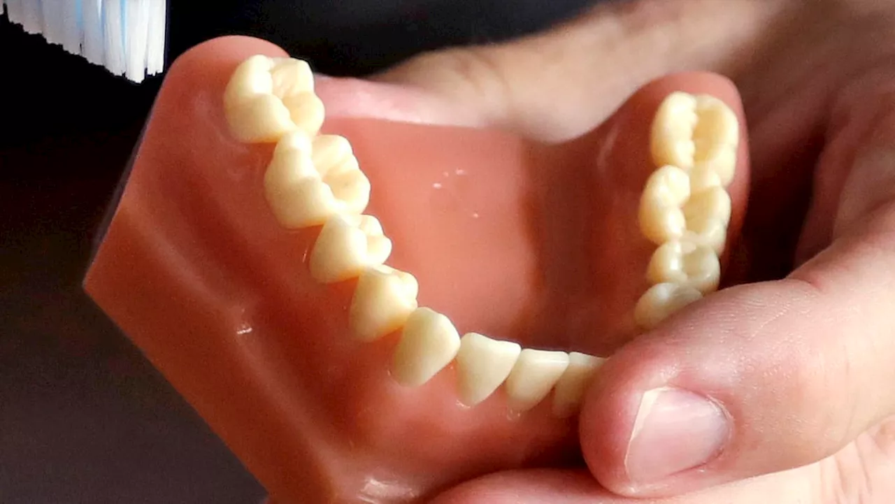 Japanese researchers test pioneering drug to regrow teeth