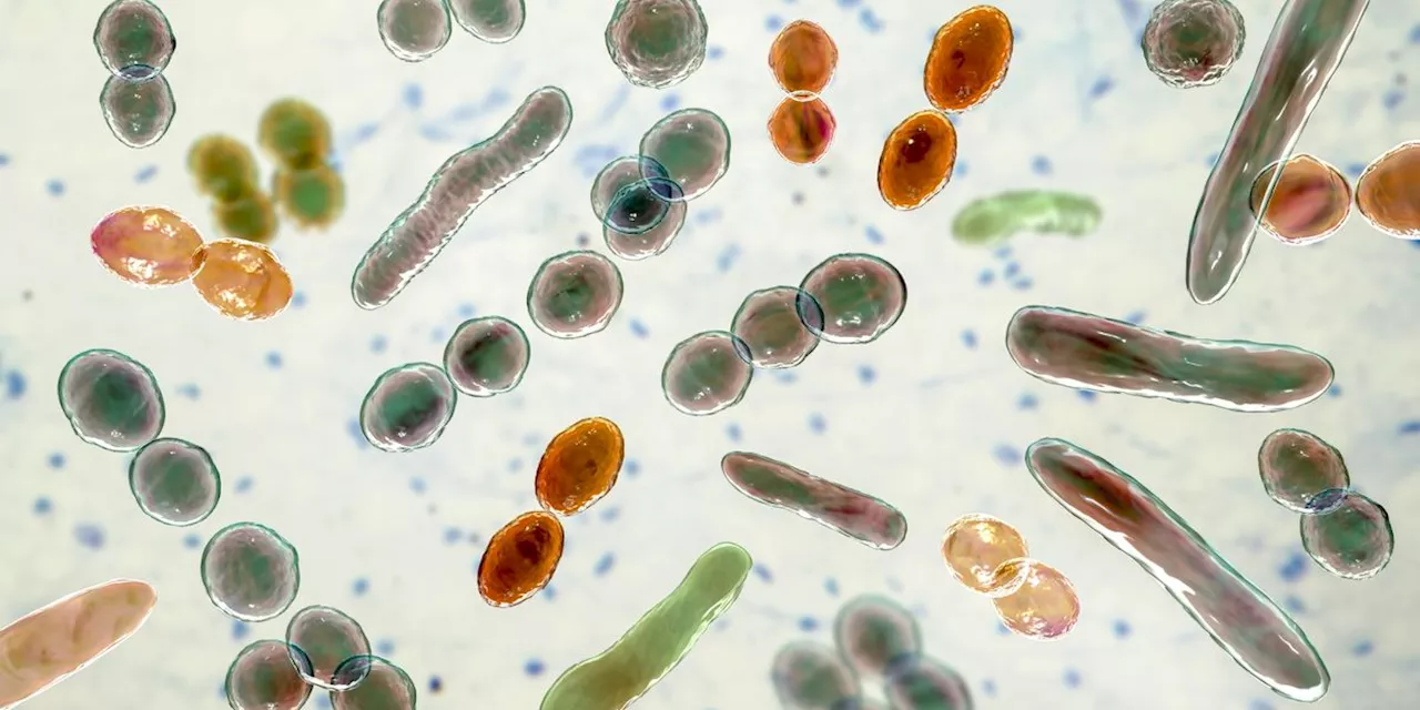 Warning of 'Unprecedented Risks,' Scientists Say Mirror Bacteria 'Should Not Be Created'