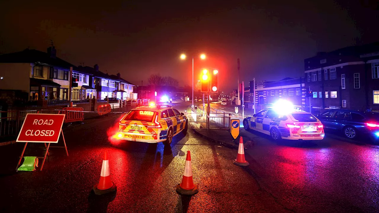 Woman, 72, carrying presents is hit and killed by car in horrific accident just days before...