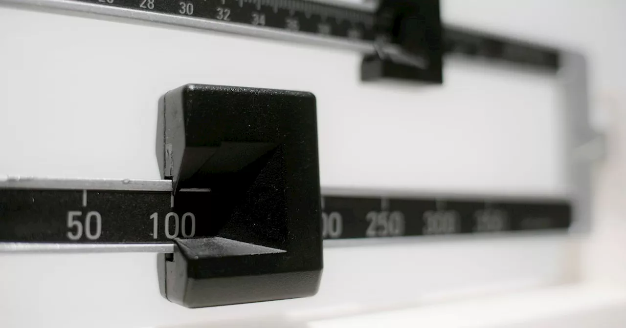 Study: Obesity rates dipped in 2023