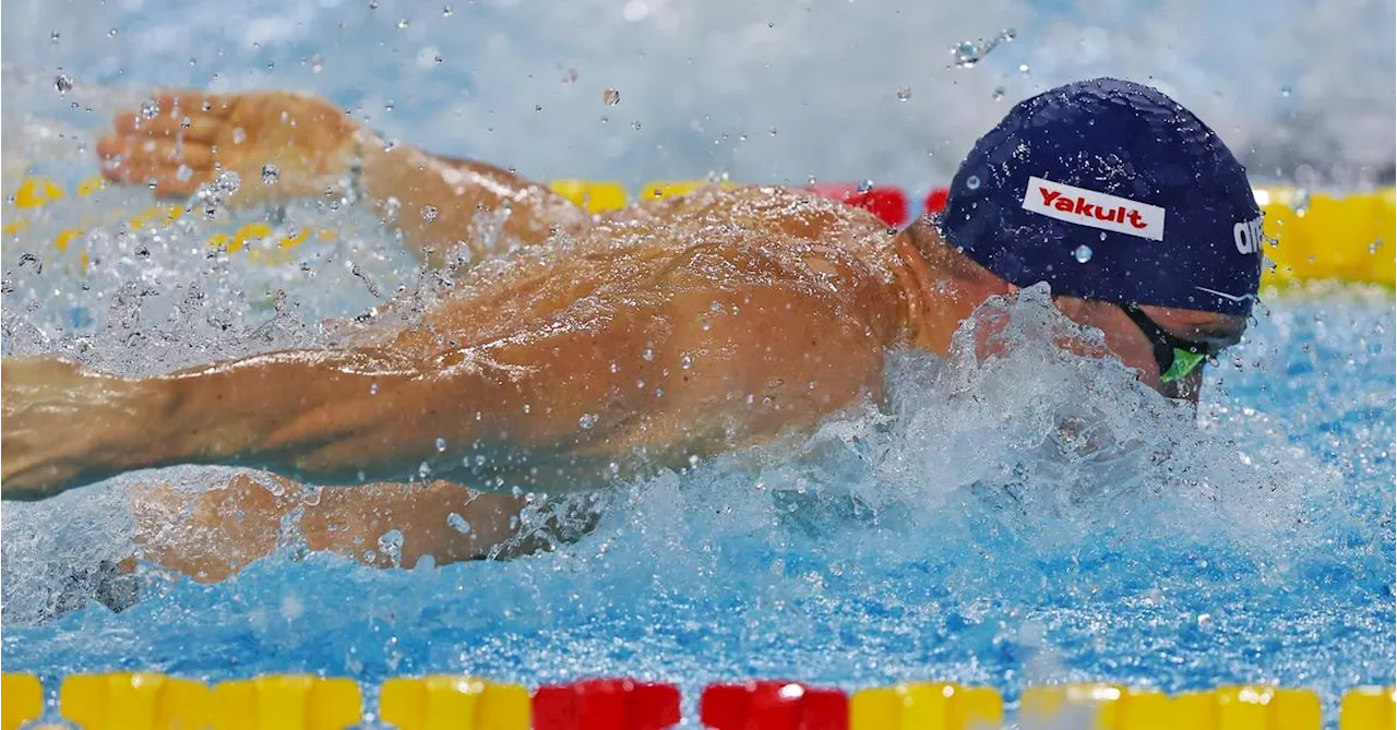 Schwimm-WM: Bernhard Reitshammer holt Silber über 100 Meter Lagen