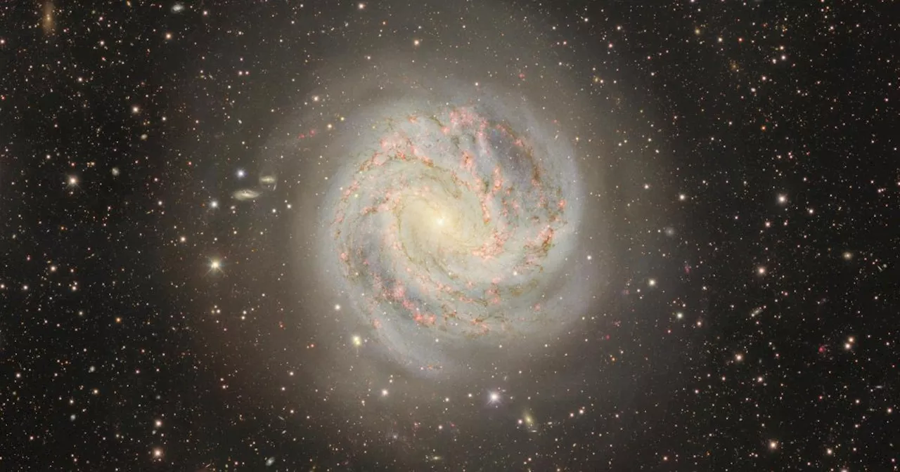 See the majestic Southern Pinwheel Galaxy in this Dark Energy Camera image