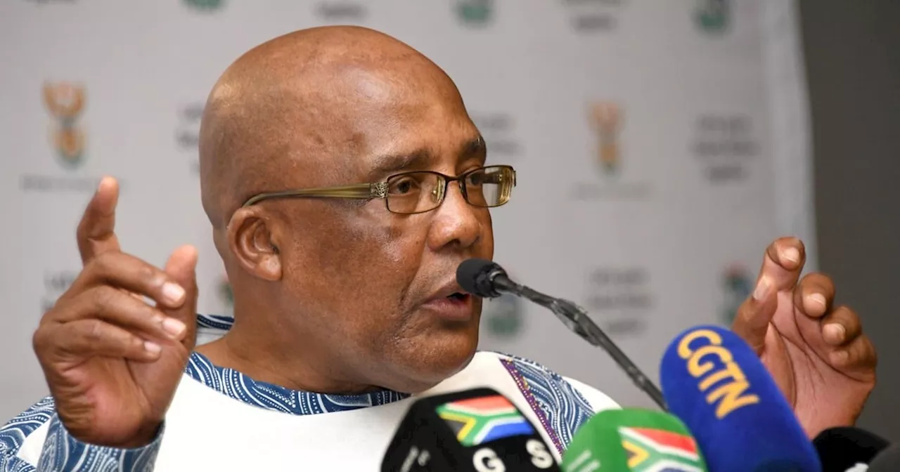 Motsoaledi says getting NHI rolling during GNU's 5-year term unlikely