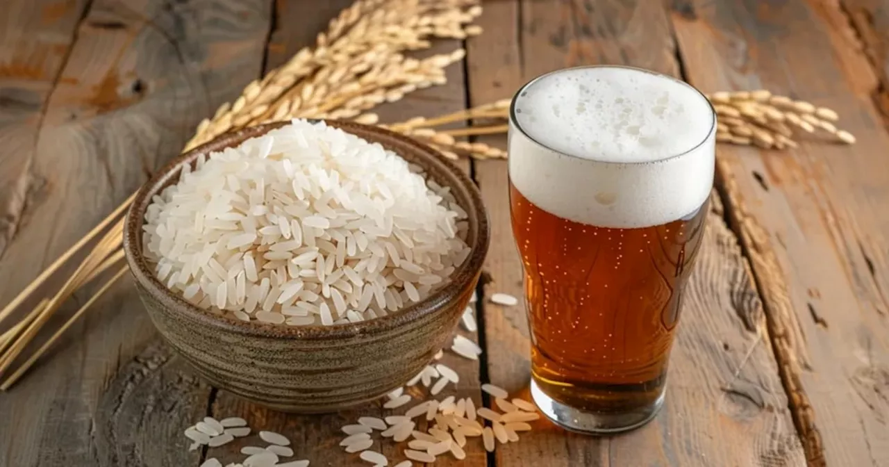 Arqueólogos descubren que en China se fabricaba cerveza de arroz desde hace aproximadamente 10.000 años